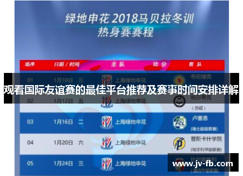 观看国际友谊赛的最佳平台推荐及赛事时间安排详解