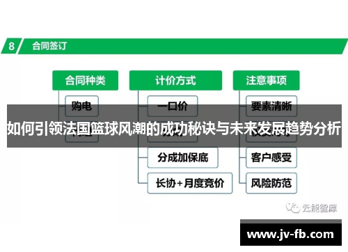 如何引领法国篮球风潮的成功秘诀与未来发展趋势分析