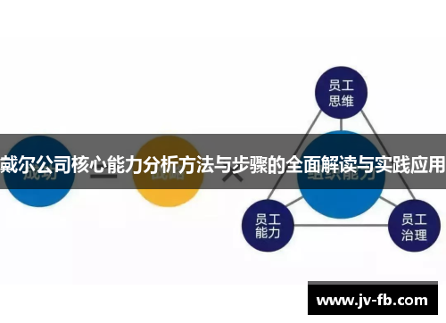戴尔公司核心能力分析方法与步骤的全面解读与实践应用